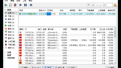 【PC】BT下载神器 qBittorrent v4.5.2.10 增强便携版