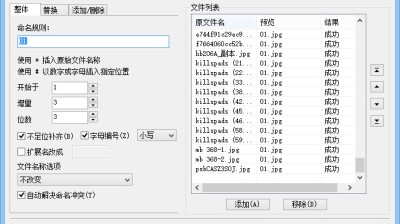 [PC]批量文件改名工具v5.9.8.10920