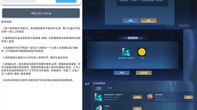 王者荣耀限定皮肤抽奖助手v1.0