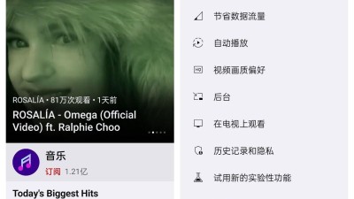 【软件工具】YouTube ReVanced Extended免费无广告安卓版-畅玩所有功能！