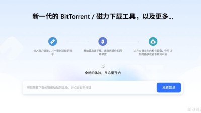 PikPak - 极速秒存的私密云盘支持多平台下载