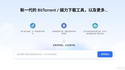 PikPak - 极速秒存的私密云盘支持多平台下载