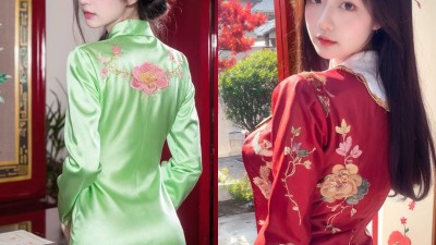 【AI绘画】高仿网红少女中华刺绣风[46P+111MB]