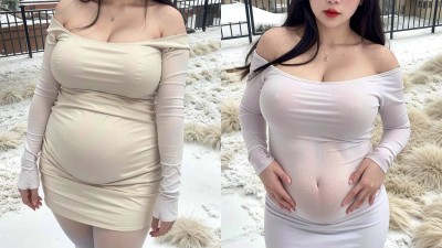 【AI绘画】知性女友怀孕期间[146P+240MB]