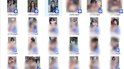 AI搞笑视频合集第一弹*NSFW【223V+565MB】
