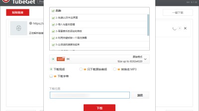 【视频下载神器】Gihosoft TubeGet v9.3.10便携版