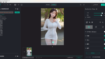 【PC】Perfectly Clear WorkBench v4中文版