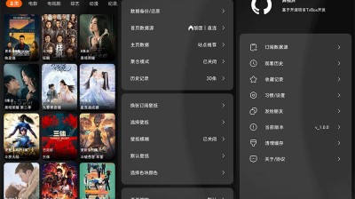 [安卓] 异视界v1.0.0-TVbox魔改版