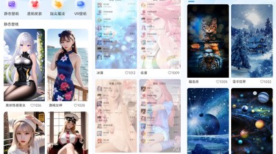 【安卓】3D动态壁纸v1.0.5去广告绿化版