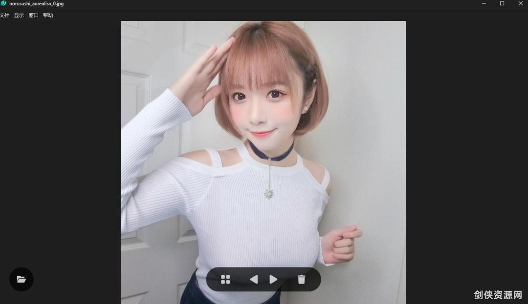 【电脑端】免费开源LeafView图片查看器v3.5.3绿色纯净版！